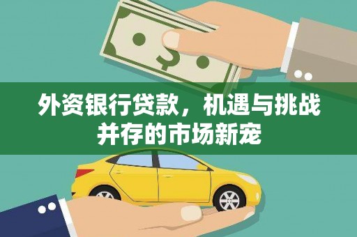 清涧外资银行贷款，机遇与挑战并存的市场新宠