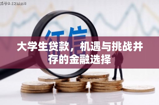 清涧大学生贷款，机遇与挑战并存的金融选择