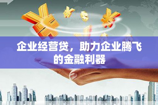 清涧企业经营贷，助力企业腾飞的金融利器