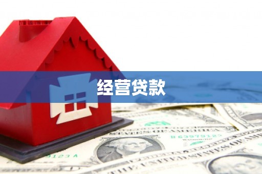 清涧经营贷款