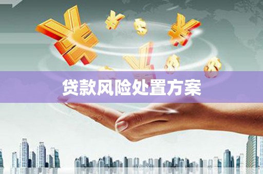 清涧贷款风险处置方案