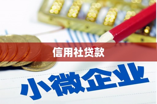 清涧信用社贷款