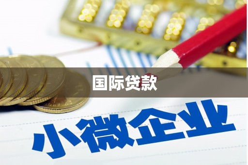 清涧国际贷款