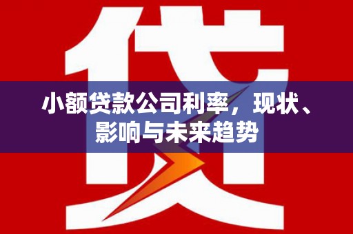 清涧小额贷款公司利率，现状、影响与未来趋势