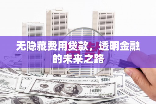 清涧无隐藏费用贷款，透明金融的未来之路