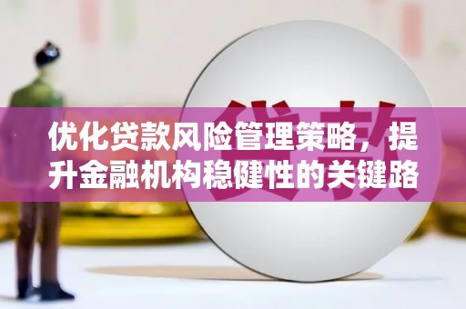 清涧优化贷款风险管理策略，提升金融机构稳健性的关键路径