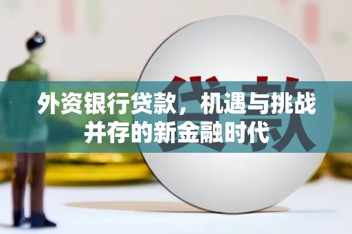 清涧外资银行贷款，机遇与挑战并存的新金融时代