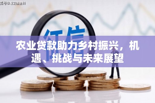清涧农业贷款助力乡村振兴，机遇、挑战与未来展望