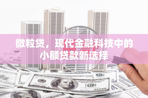 清涧微粒贷，现代金融科技中的小额贷款新选择