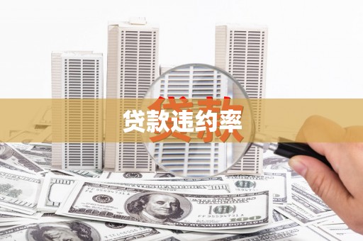 清涧贷款违约率