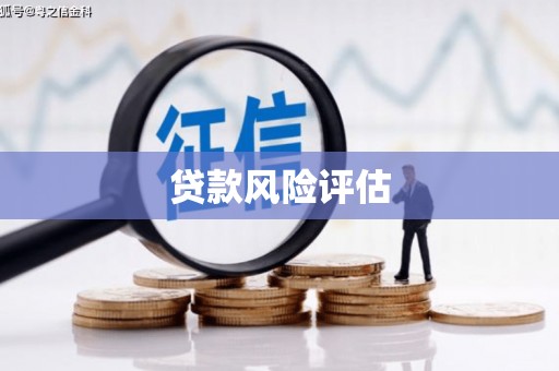 清涧贷款风险评估