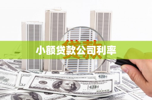 清涧小额贷款公司利率