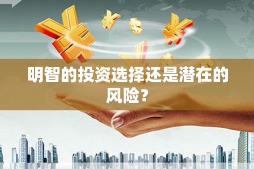 清涧明智的投资选择还是潜在的风险？