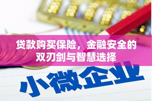 清涧贷款购买保险，金融安全的双刃剑与智慧选择