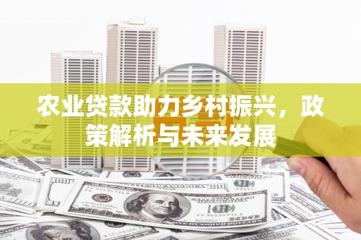 清涧农业贷款助力乡村振兴，政策解析与未来发展