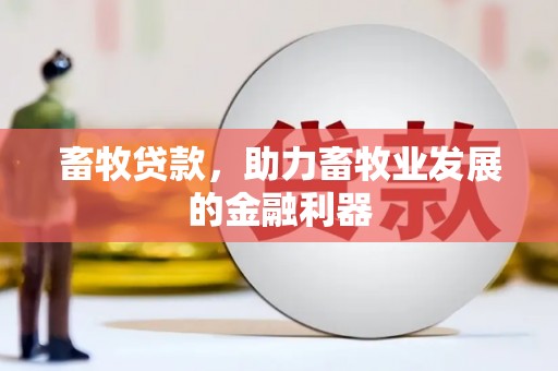 清涧畜牧贷款，助力畜牧业发展的金融利器