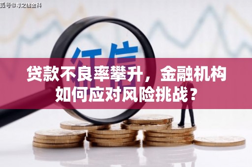 清涧贷款不良率攀升，金融机构如何应对风险挑战？
