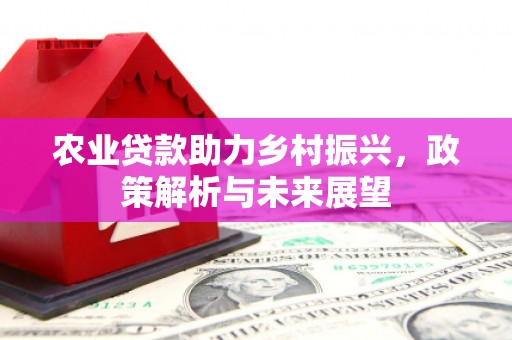 清涧农业贷款助力乡村振兴，政策解析与未来展望