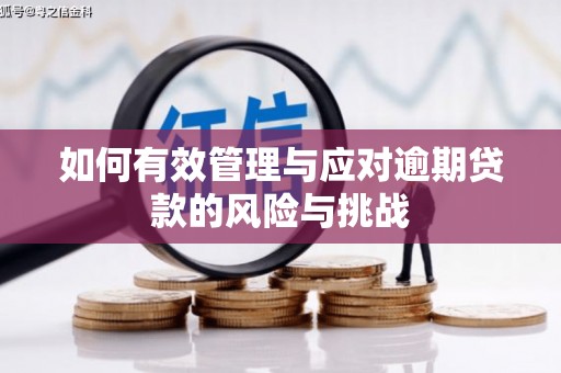 清涧如何有效管理与应对逾期贷款的风险与挑战
