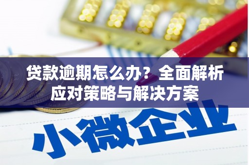 清涧贷款逾期怎么办？全面解析应对策略与解决方案