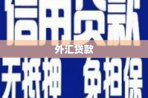 清涧外汇贷款