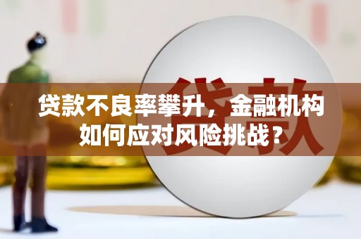 清涧贷款不良率攀升，金融机构如何应对风险挑战？