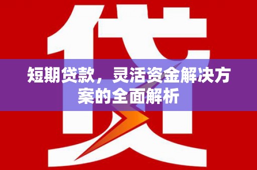 清涧短期贷款，灵活资金解决方案的全面解析
