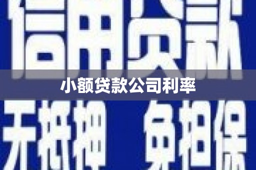 清涧小额贷款公司利率