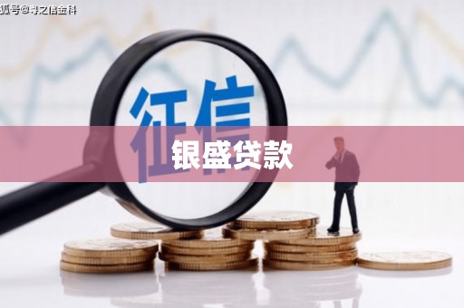 清涧银盛贷款