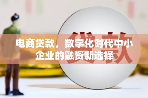 清涧电商贷款，数字化时代中小企业的融资新选择