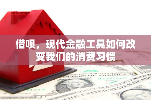 清涧借呗，现代金融工具如何改变我们的消费习惯