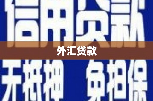 清涧外汇贷款