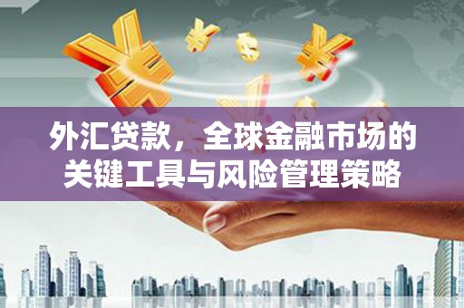 清涧外汇贷款，全球金融市场的关键工具与风险管理策略