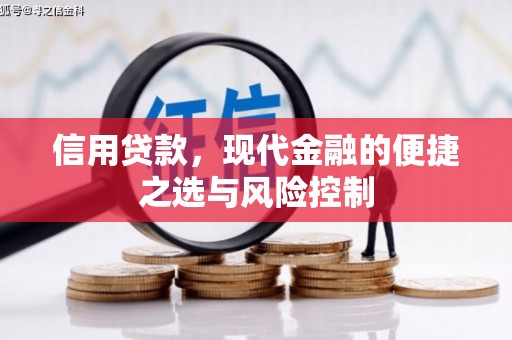 清涧信用贷款，现代金融的便捷之选与风险控制