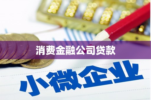 清涧消费金融公司贷款