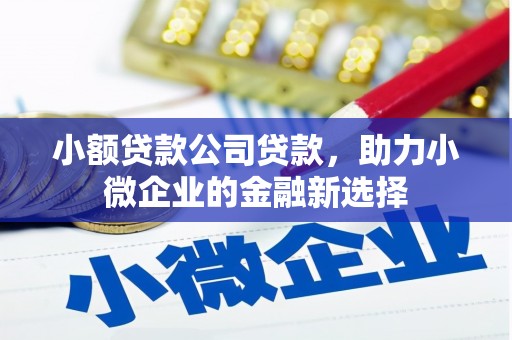 清涧小额贷款公司贷款，助力小微企业的金融新选择