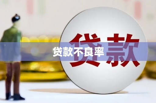 清涧贷款不良率