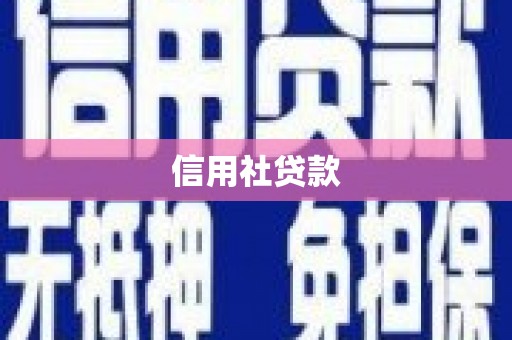 清涧信用社贷款