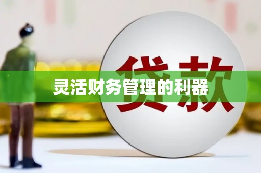 清涧灵活财务管理的利器