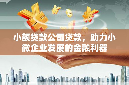 清涧小额贷款公司贷款，助力小微企业发展的金融利器