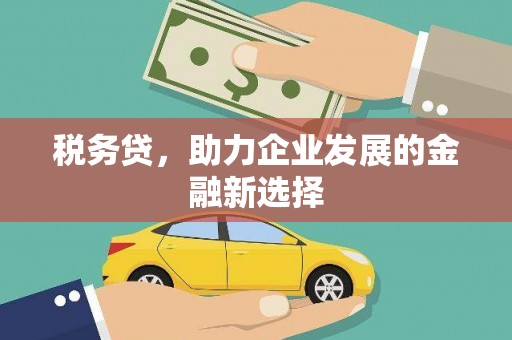清涧税务贷，助力企业发展的金融新选择