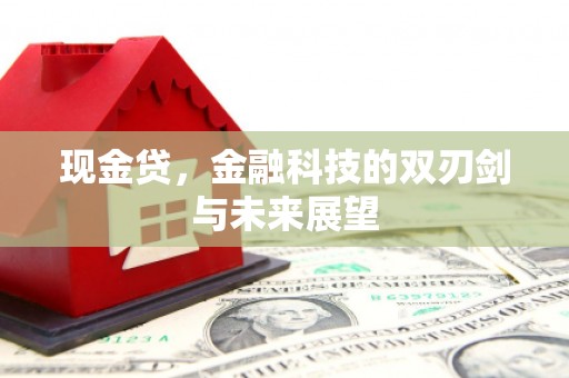 清涧现金贷，金融科技的双刃剑与未来展望