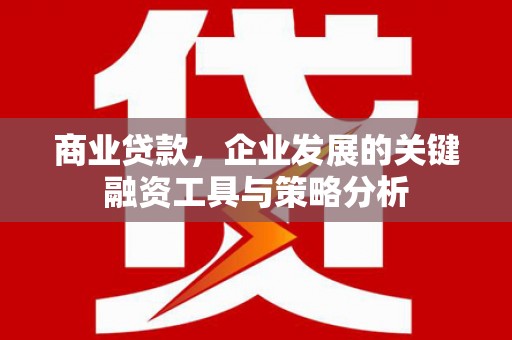 清涧商业贷款，企业发展的关键融资工具与策略分析