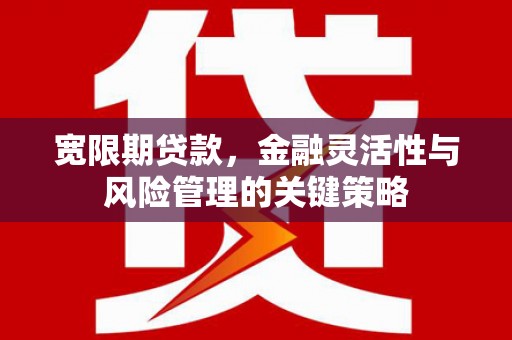 清涧宽限期贷款，金融灵活性与风险管理的关键策略