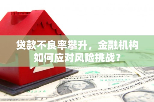 清涧贷款不良率攀升，金融机构如何应对风险挑战？