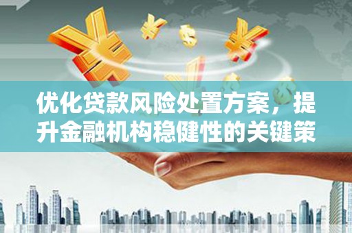 清涧优化贷款风险处置方案，提升金融机构稳健性的关键策略