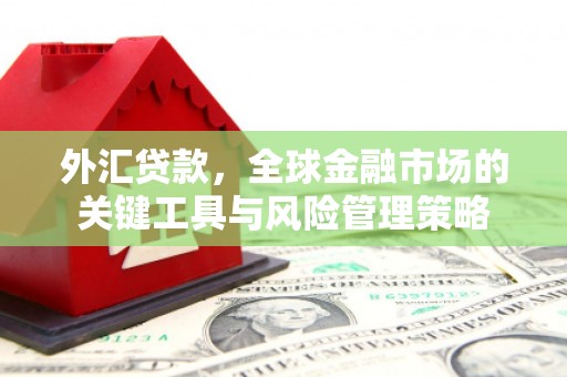 清涧外汇贷款，全球金融市场的关键工具与风险管理策略