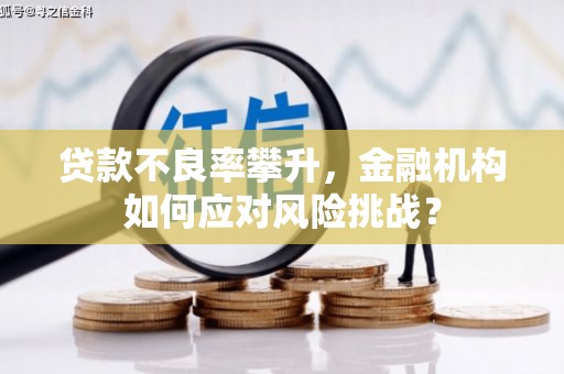 清涧贷款不良率攀升，金融机构如何应对风险挑战？