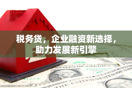 清涧税务贷，企业融资新选择，助力发展新引擎