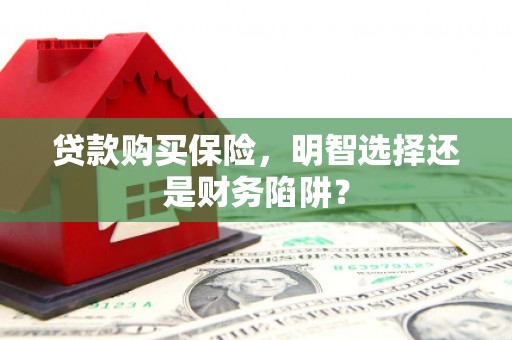 清涧贷款购买保险，明智选择还是财务陷阱？
